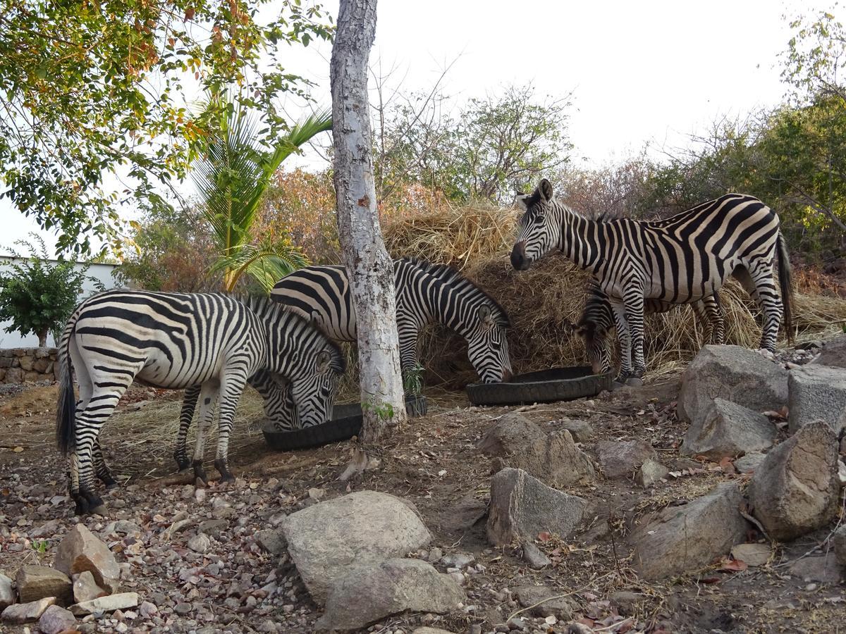 Lake Kariba Inns Siavonga Exteriör bild